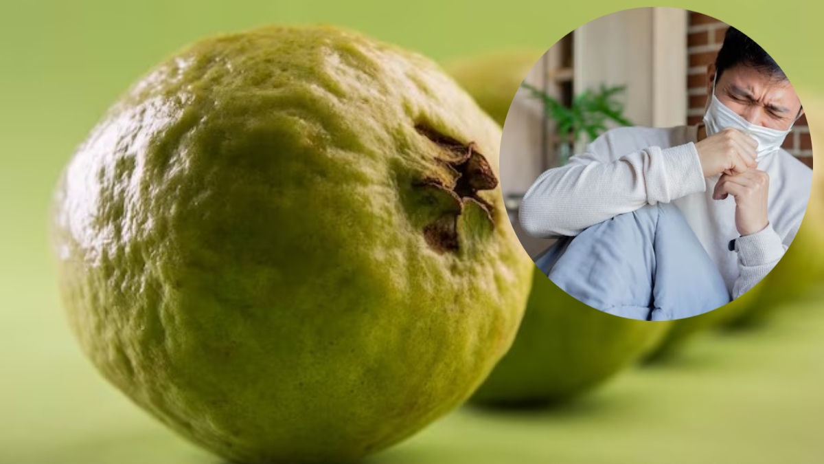 guava in cold cough