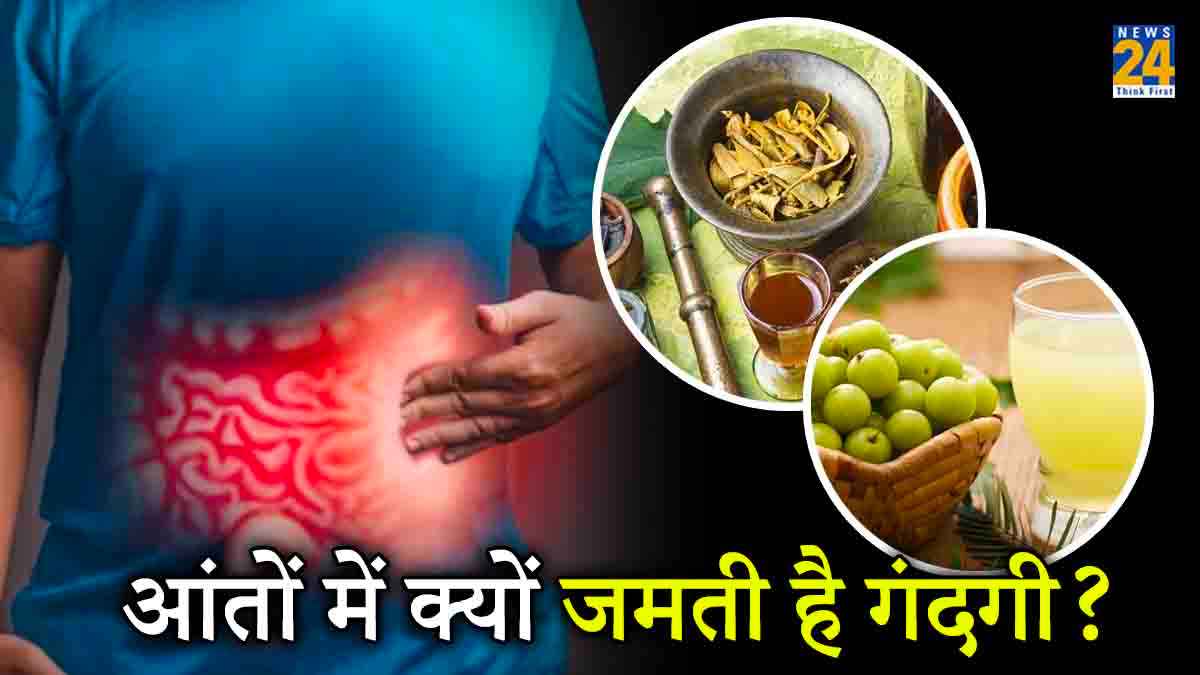 Intestinal Cleansing Herbs: आंतों की सफाई करना क्यों जरूरी? वजह जानने के साथ इन 4 घरेलू तरीकों से करें आंत साफ