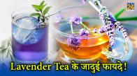 Lavender Tea Benefits in winter, Immunity Boost, good for health, lifestyle and health tips in hindi
