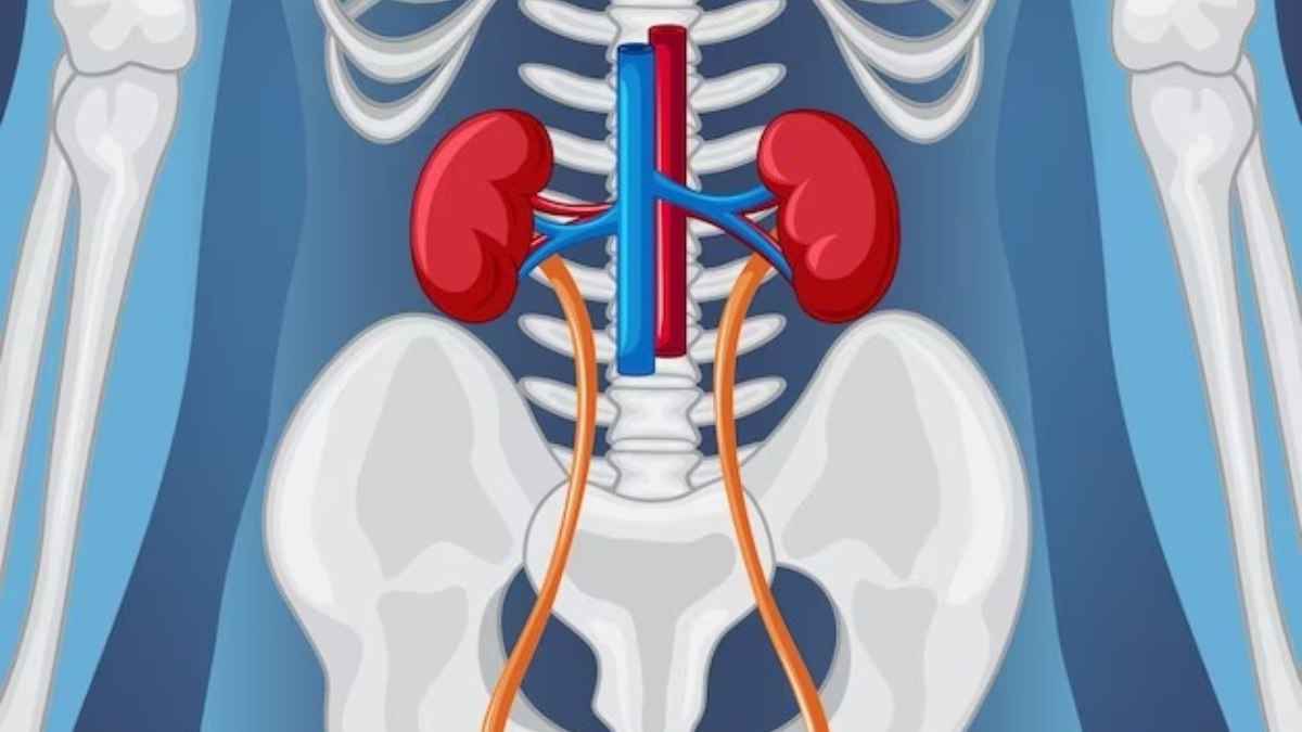 kidney failure kidney failure