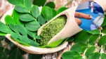 moringa health benefits