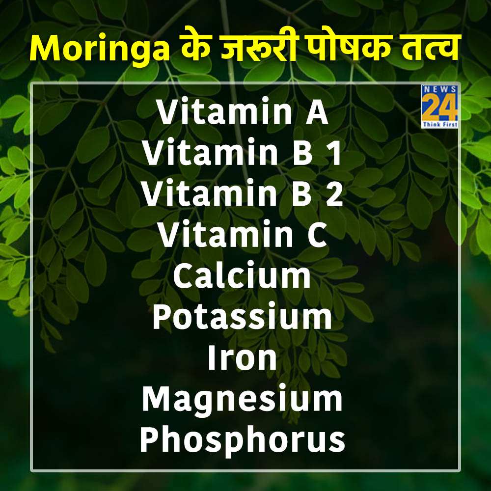 Essential nutrients of moringa