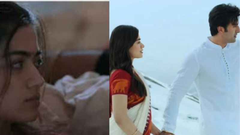 ranbir kapoor and rashmika mandana