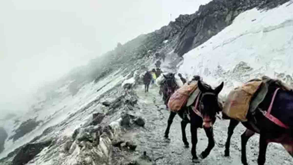 indian army replacing animal transport fleet