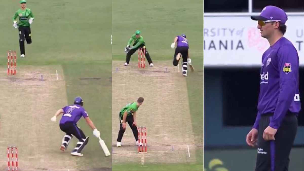 Big Bash League tim david short run hobart hurricanes penalty 5 runs
