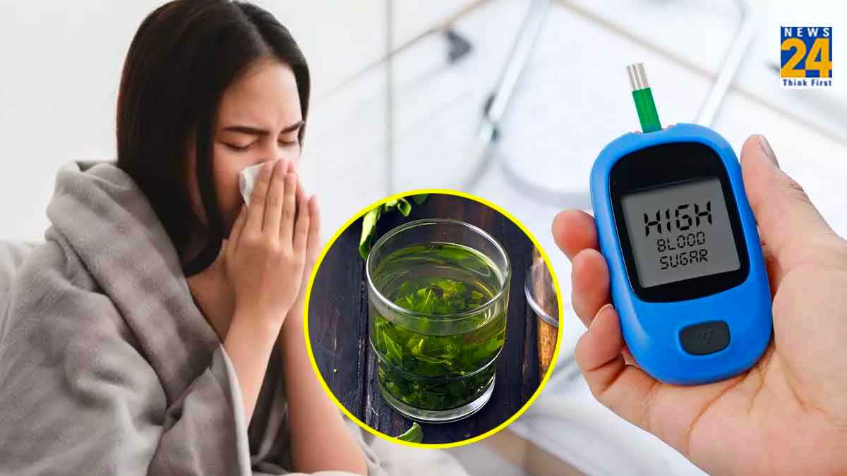 Tulsi Water Benefits: तुलसी की चाय से ज्यादा गुणकारी है इसका पानी! जानिए 7 फायदे