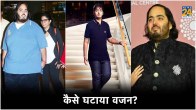 Anant Ambani Fat To Fit Diet Plan