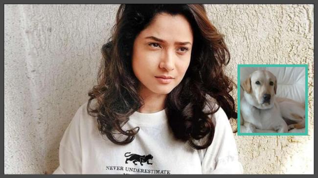 Ankita Lokhande pet dog scotch passes away