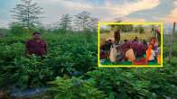 Chhattisgarh Farmer Success Story