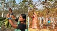 Chhattisgarh women empowerment