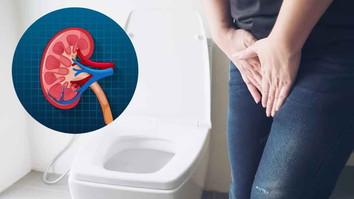 पेशाब बार-बार आना सही या नहीं, क्या कहते हैं एक्सपर्ट्स? पढ़ें 5 फैक्ट्स