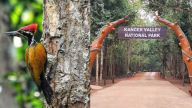 Kanger Valley National Park Bird Survey
