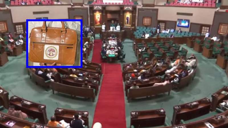 Madhya Pradesh Budget Session 2024