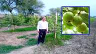 Madhya Pradesh Farmer Success Story