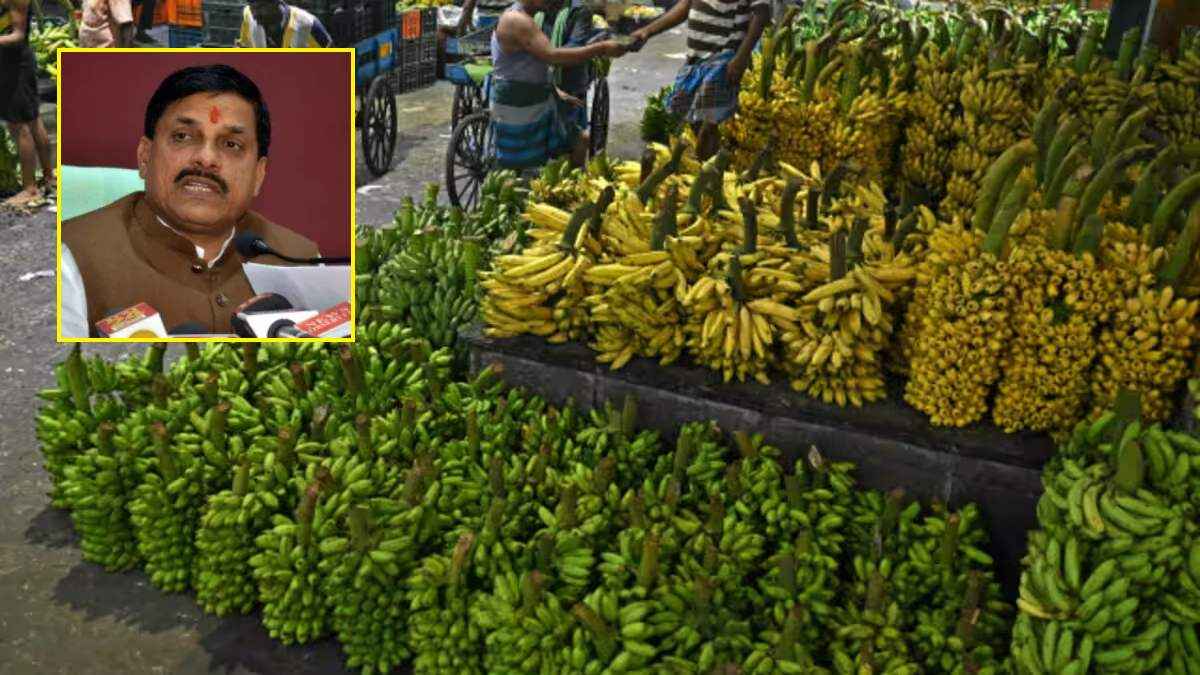 Madhya Pradesh Unique Banana Festival