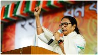 Mamata Banerjee sandeshkhali violence election commission bjp