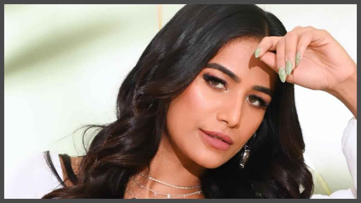 झूठी हैं Poonam Pandey! पहले ही बोलीं थी दूंगी बड़ा सरप्राइज, आप भी देखें खुलासे का ये वीडियो