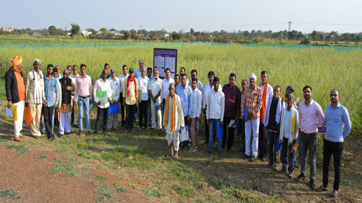 Raipur agricultural scientists Workshop