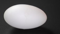 Roman chicken Egg