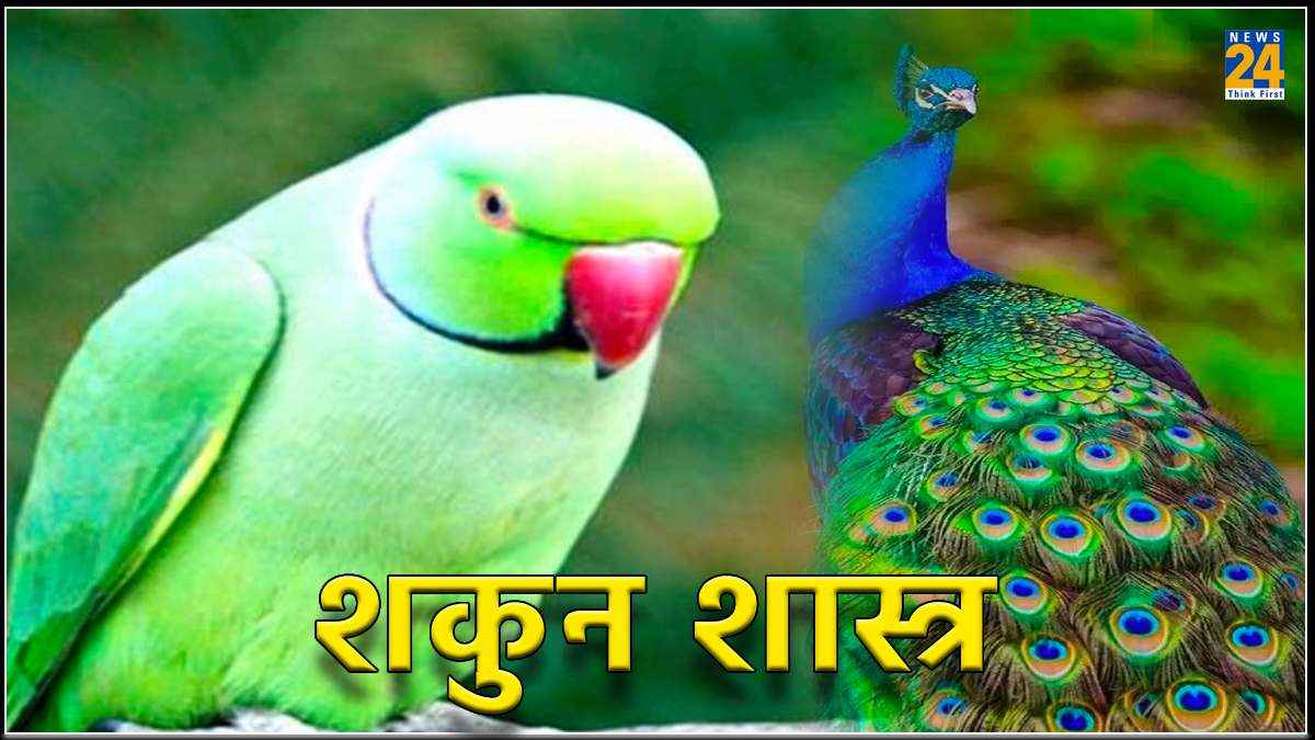 Shakun Shastra: घर में तोता रखना शुभ या अशुभ, जानें क्या कहता है शकुन शास्त्र