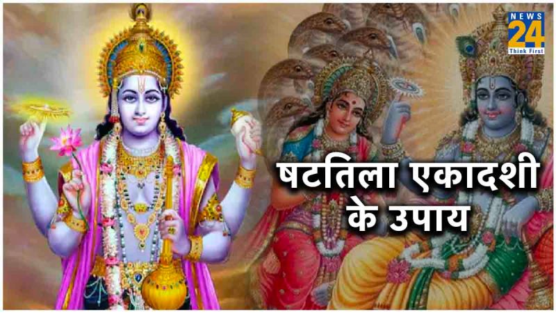 Shattila Ekadashi 2024 Upay