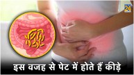 Stomach Worms Symptoms