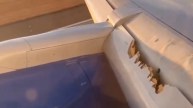 United Airlines Flight Wing Crack