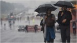 People Using Umbrella During Rain