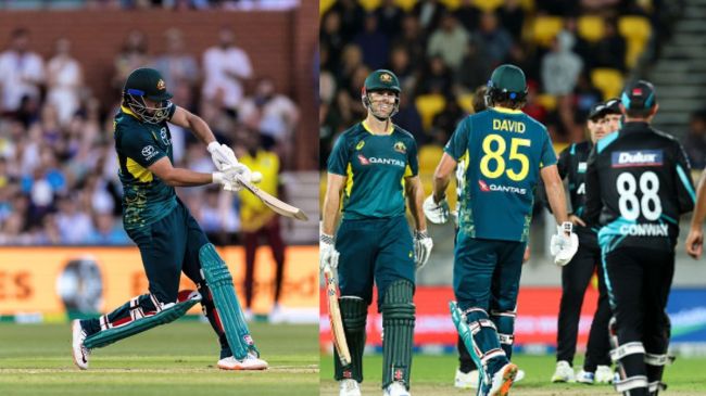 Australia vs New Zealand First T20 Tim David Hit last Ball Four Tim Southee Bowl Rachin Ravindra