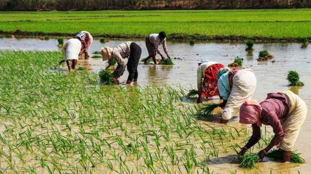 budget 2024 for agriculture sector
