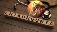 chikungunya risk