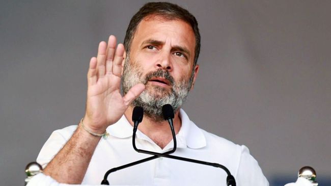 Rahul Gandhi Congress Lok Sabha Election 2024