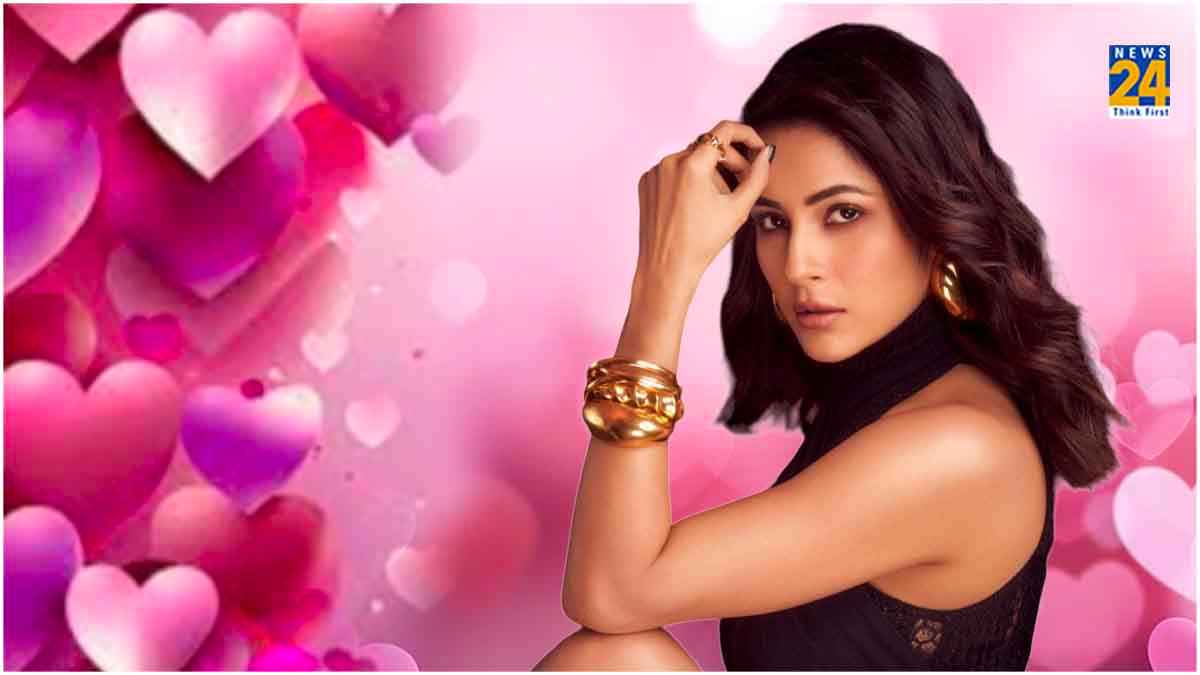 Shehnaaz Gill ने Valentine के दिन किसके लिए किया प्यार का इजहार? बोलीं- बेबी, आई लव यू...'