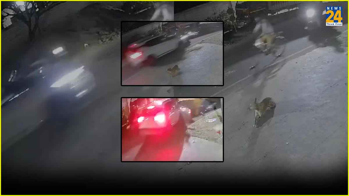 Car Hit Accident