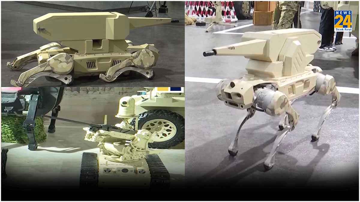 China Robotic Dog