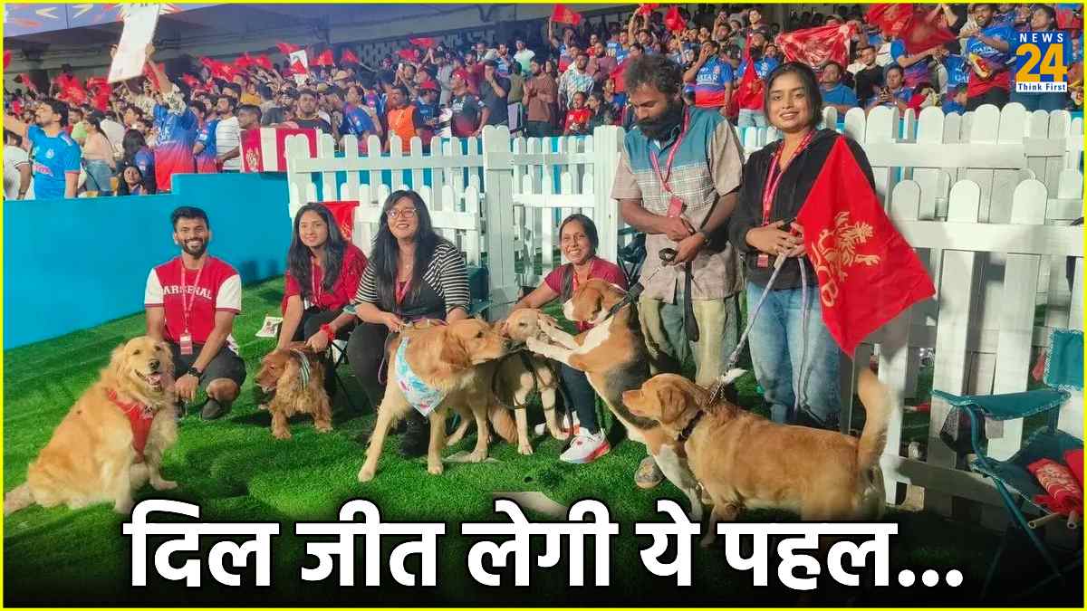 DOG OUT zone Dedicated area for pet dogs in M Chinnaswamy Stadium