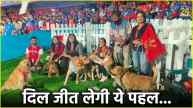 DOG OUT zone Dedicated area for pet dogs in M Chinnaswamy Stadium