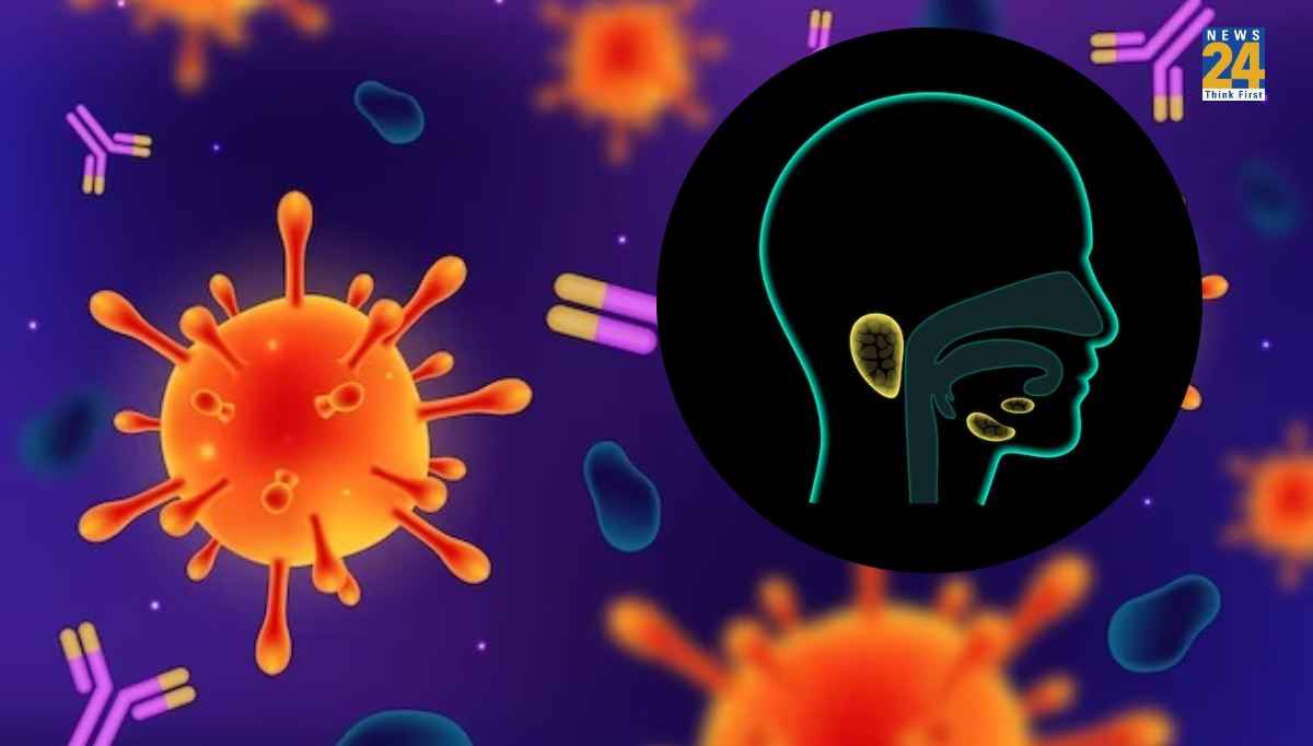 Corona से कितनी अलग है Mumps? बढ़ते मामलों पर हेल्थ डिपार्टमेंट ने जारी किया अलर्ट