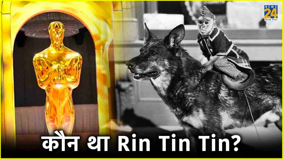वो डॉग..ज‍िसके आगे Superstars भी फेल, बमबारी में बचा; मौत पर थम गया था अमेरिका