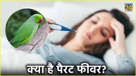 What Is Parrot Fever? Its Symptoms And Prevention