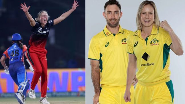RCB Win First Trophy WPL 2024 Against Delhi Capitals Final Ellyse Perry RCB Win First Trophy WPL 2024 Against Delhi Capitals Final Ellyse Perry