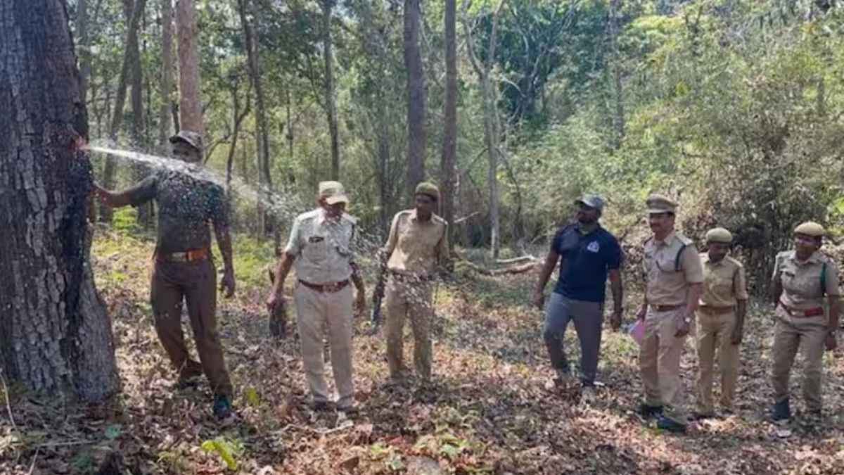 पेड़ को काटते ही निकला नल की तरह पानी, वायरल वीडियो देख हैरान हैं सब; जानिए क्या है माजरा