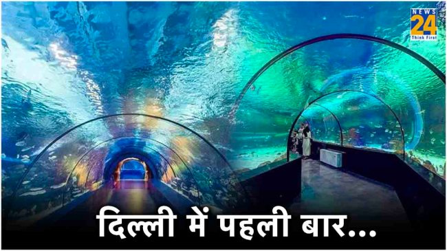 Underwater Tunnel Aquarium Delhi