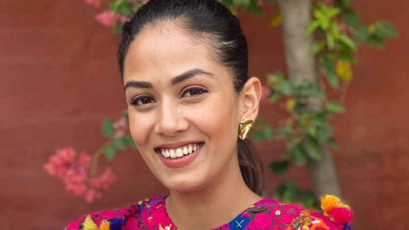 Mira Rajput Viral Video