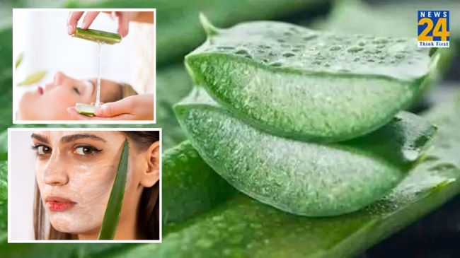 Aloe Vera Beauty Tips