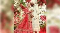Arti Singh Wedding Video