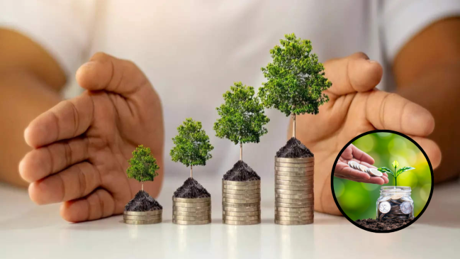 Fixed Deposit highest interest Rates