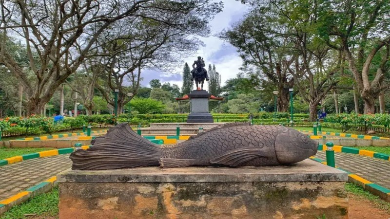 Benglauru Cubbon Park Forest Bathing Experience