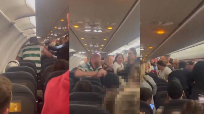 Flight Fight Viral Video