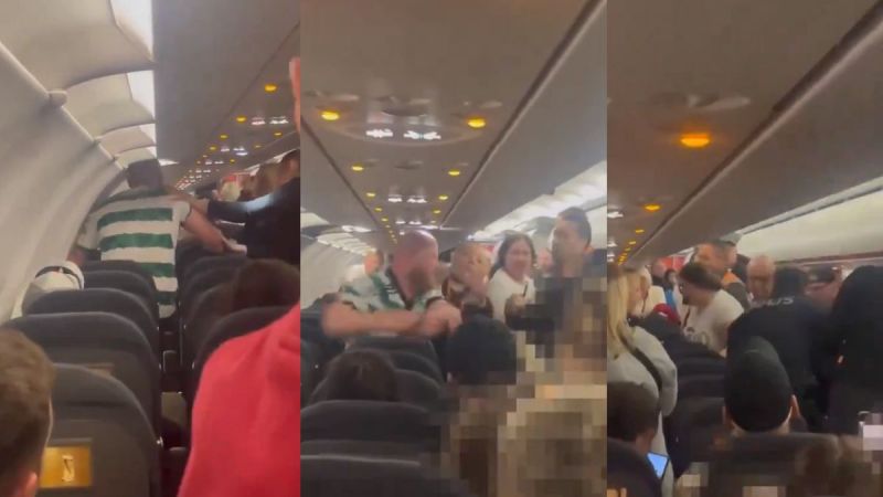 Flight Fight Viral Video